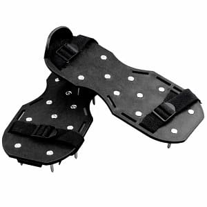 Sapatos de Picos